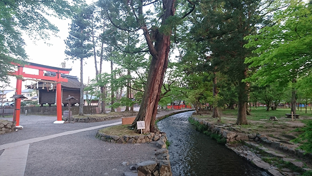 ならの小川