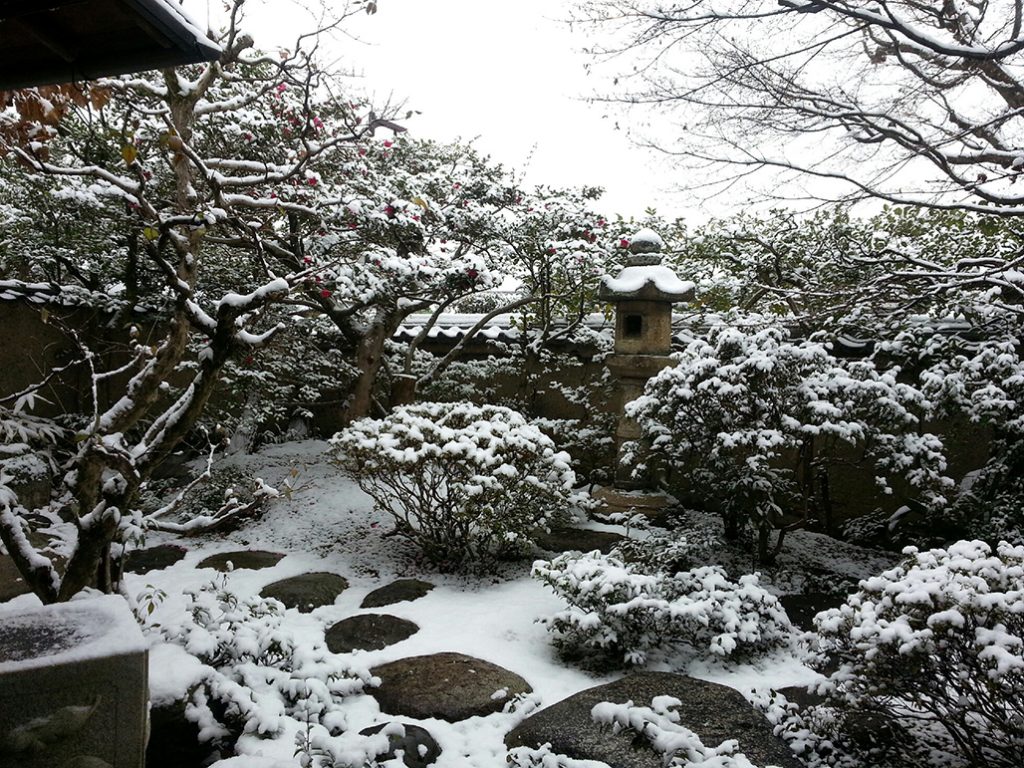 雪景色