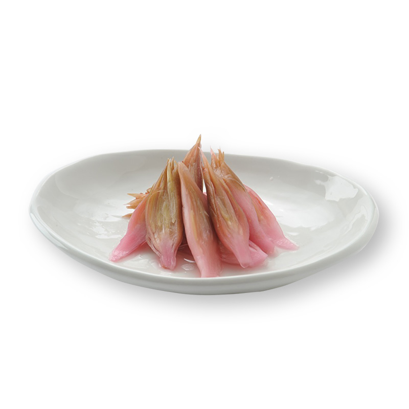 秋みょうが
